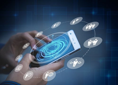 互联网营销下半场，红人装赋能品牌再突围